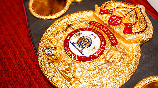 2019(中国·长沙)WBA世界拳王争霸赛启动仪式