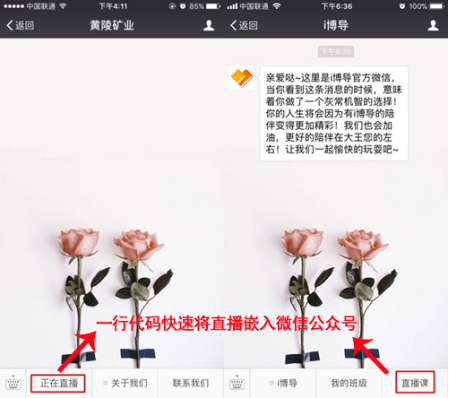 新维<a href='//www.newe.tv' target='_balnk'>直播</a>